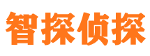 腾冲市私人调查